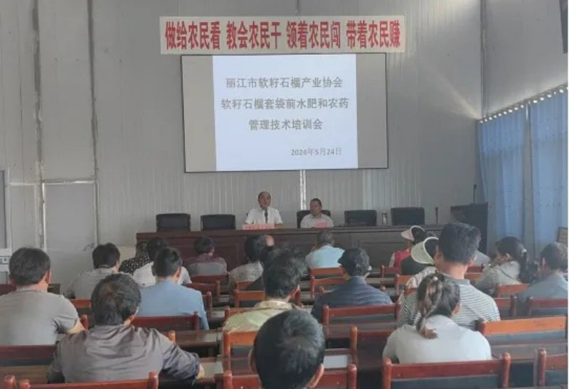 丽江市软籽石榴产业协会2024年软籽石榴种植技术培训会简讯