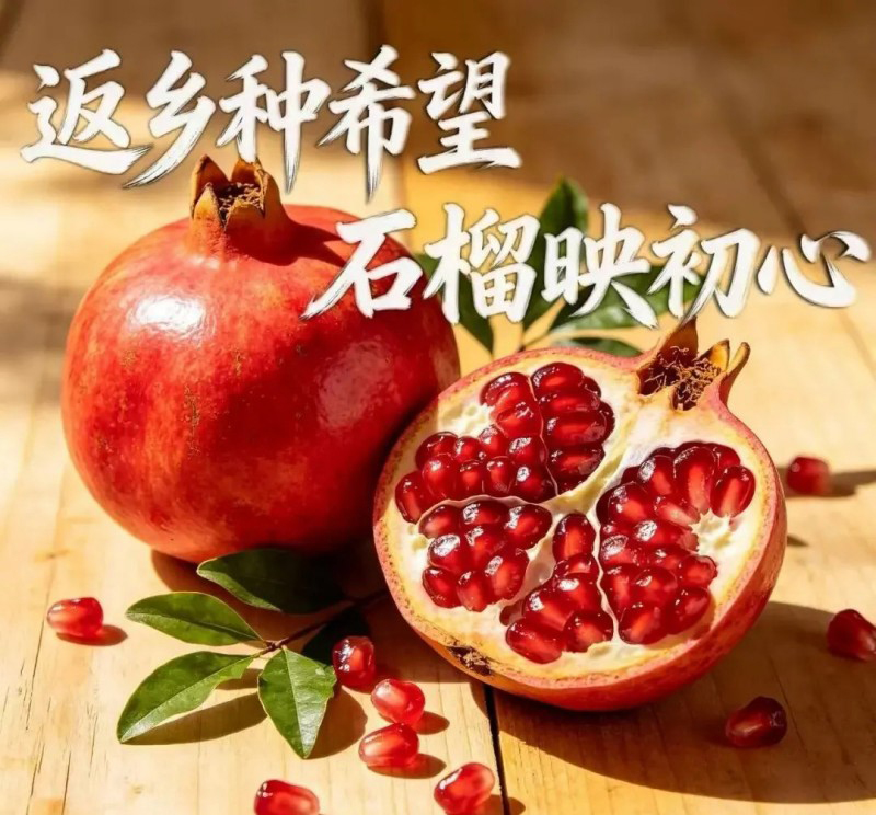 副会长单位|永胜正合农业综合开发有限责任公司