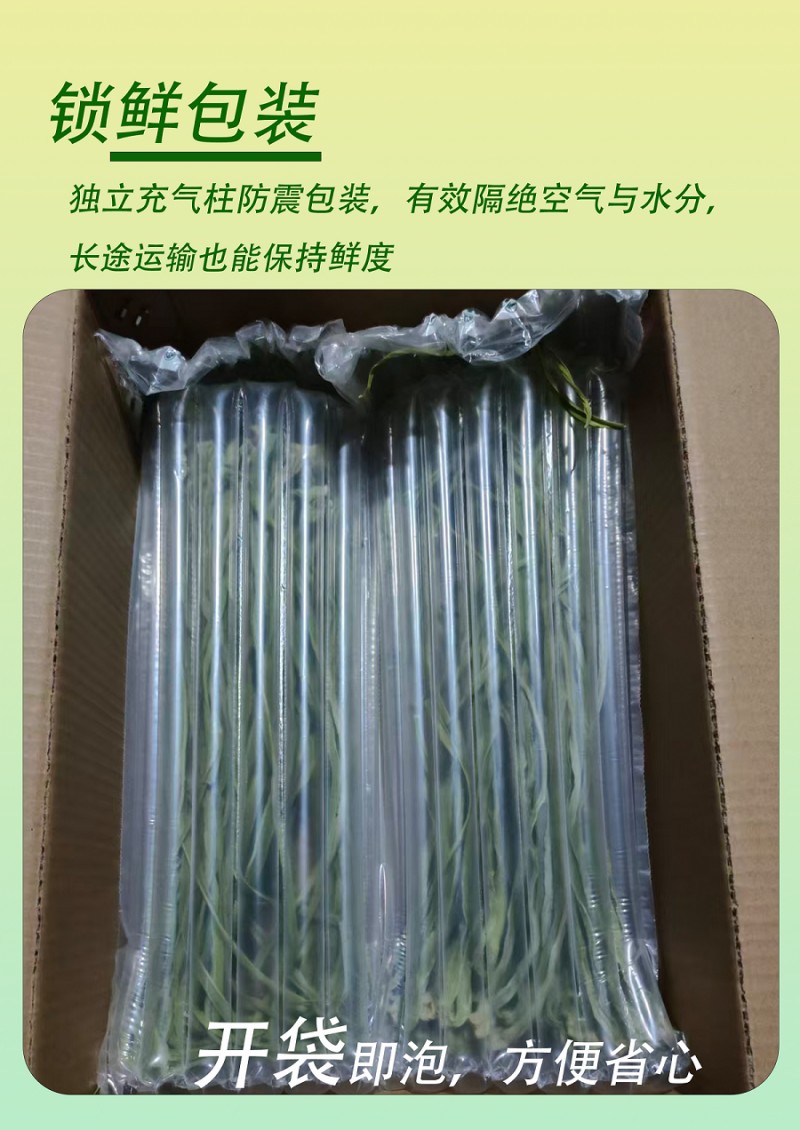 贡菜3