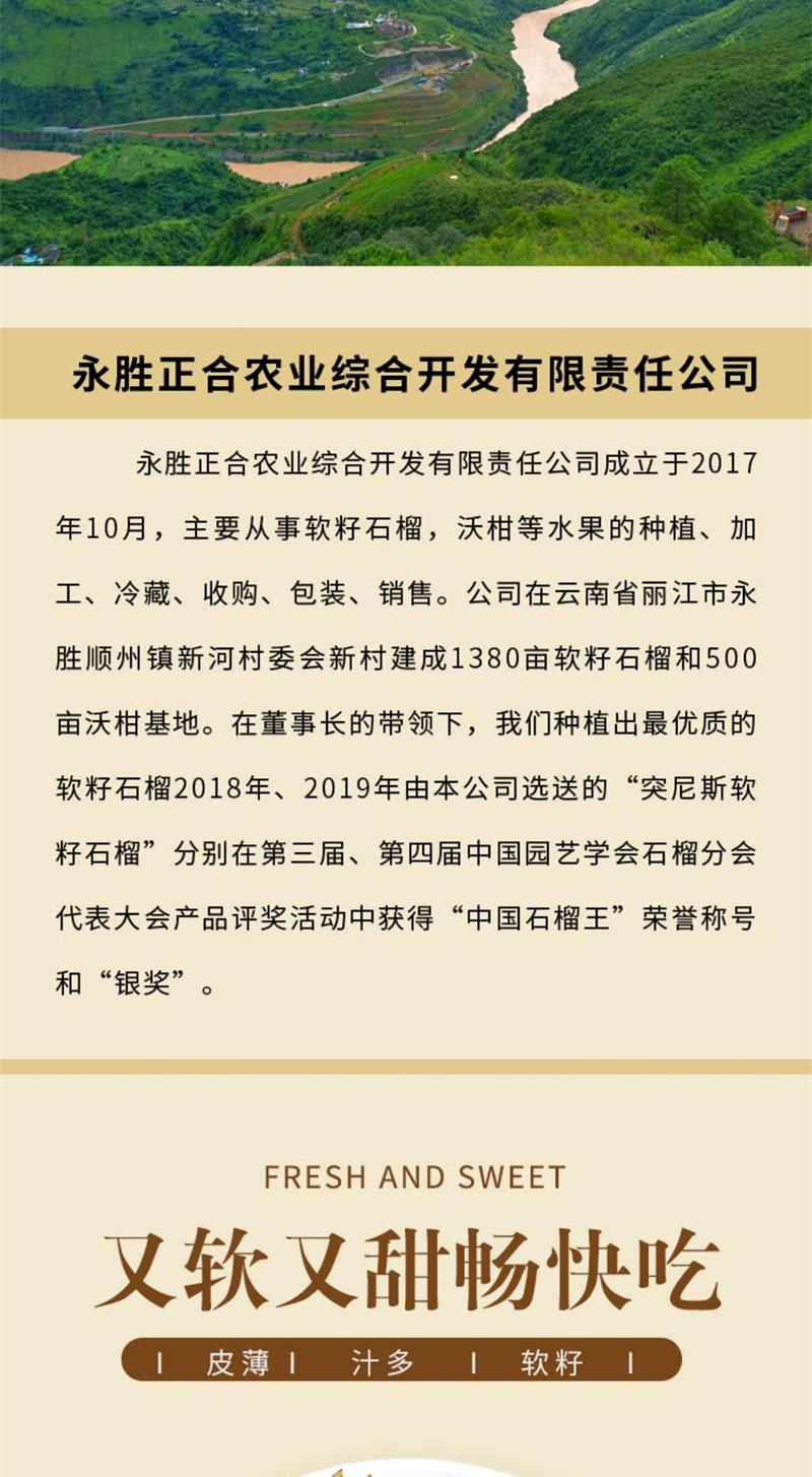 石榴详情页_3