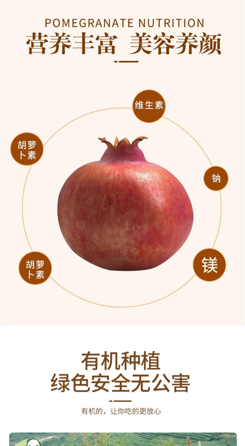 石榴详情页_6