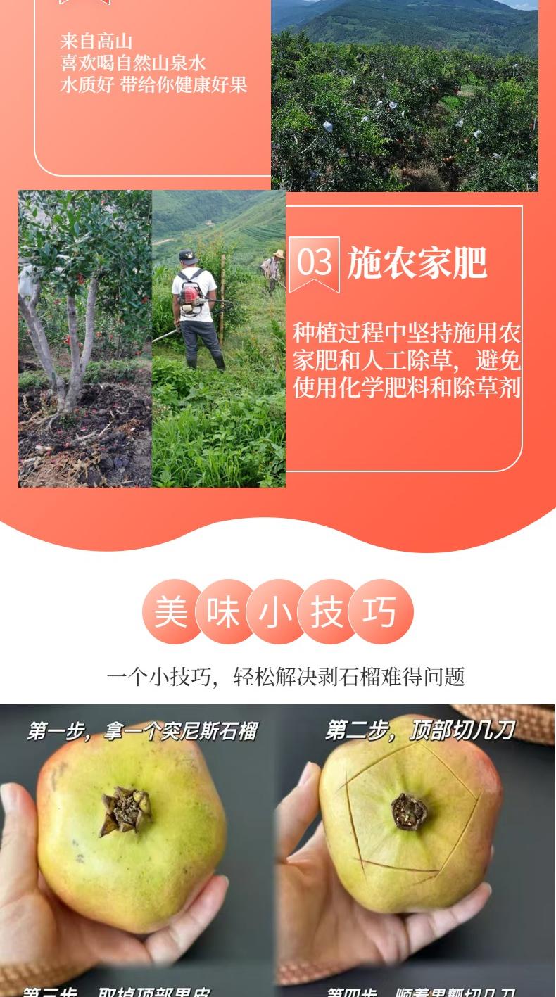 石榴2详情页_5