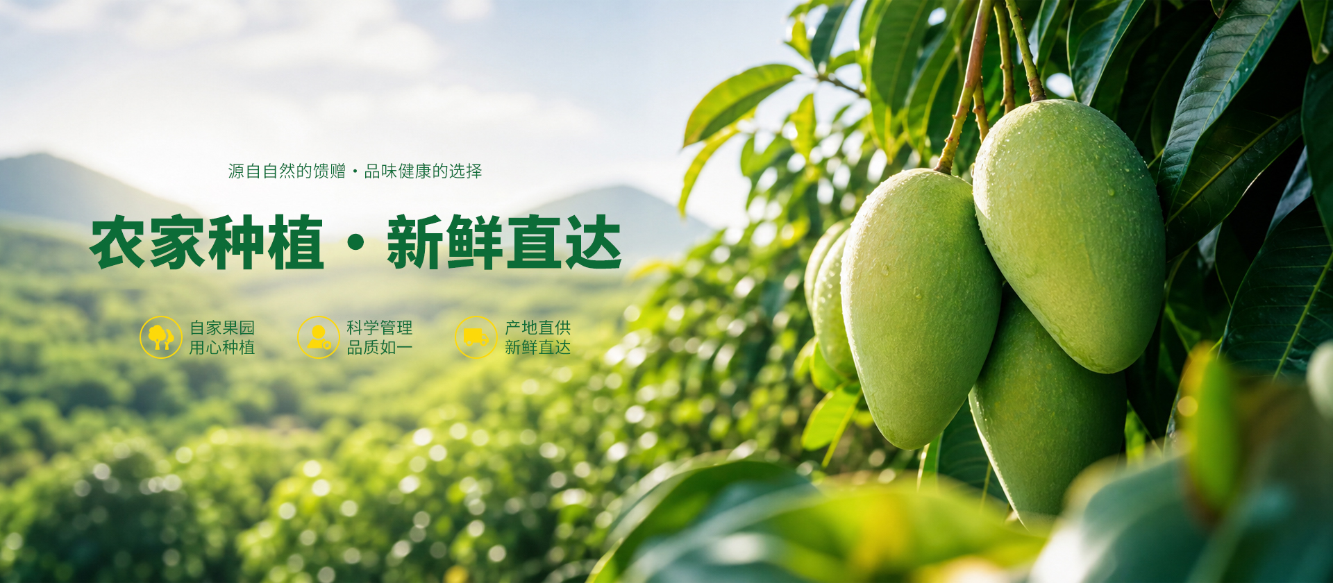 首页Banner01