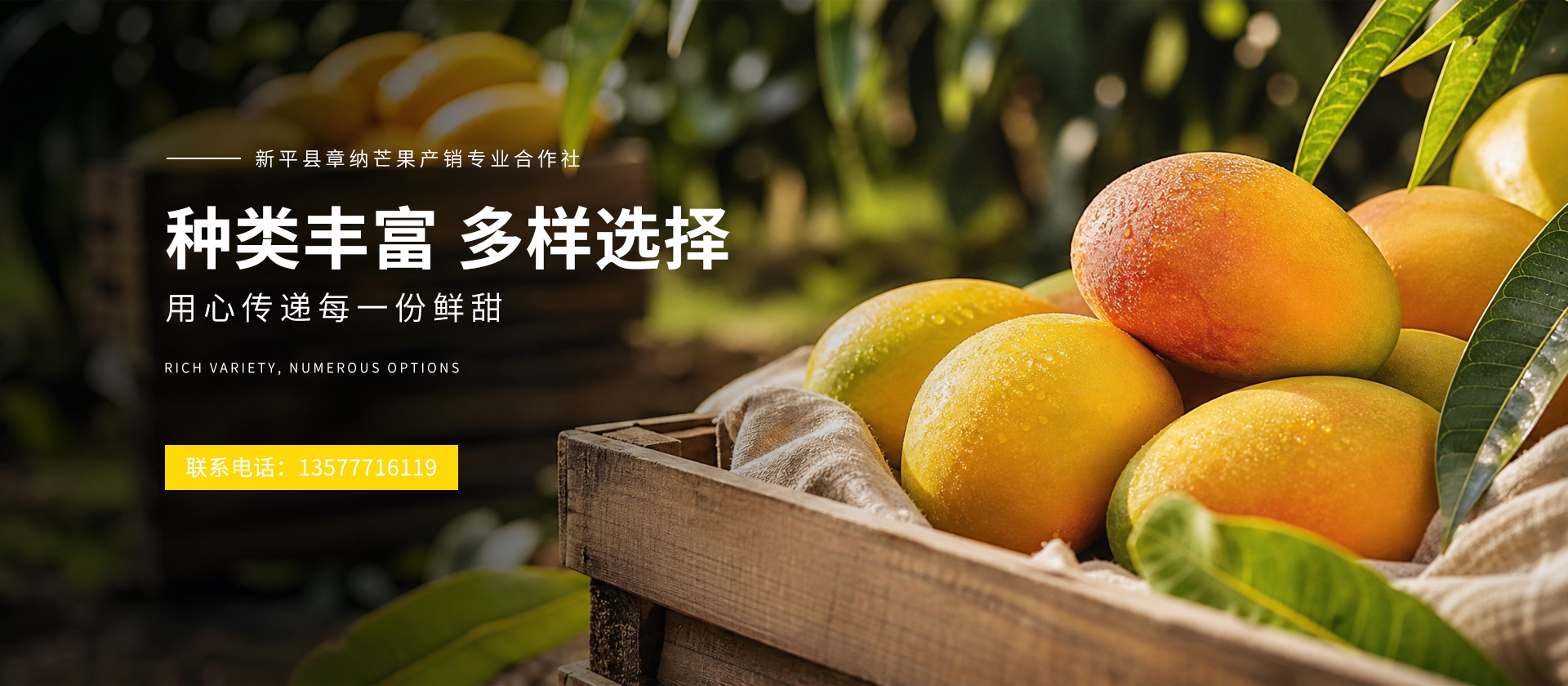 首页Banner02