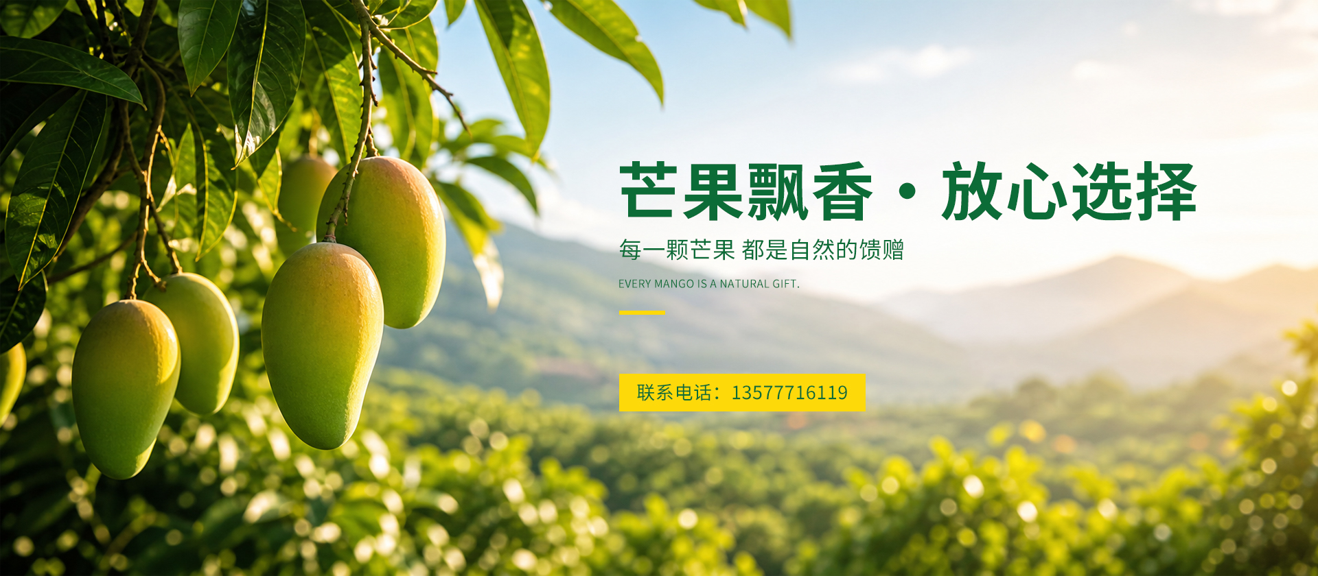 首页Banner03