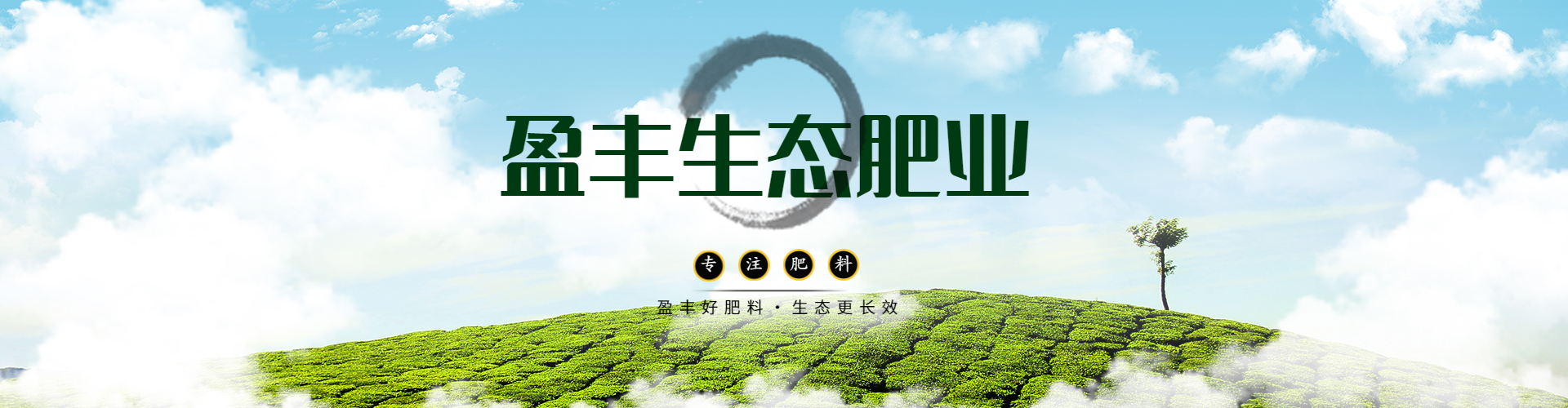 盈丰原肥业 兴义复合肥与有机肥
