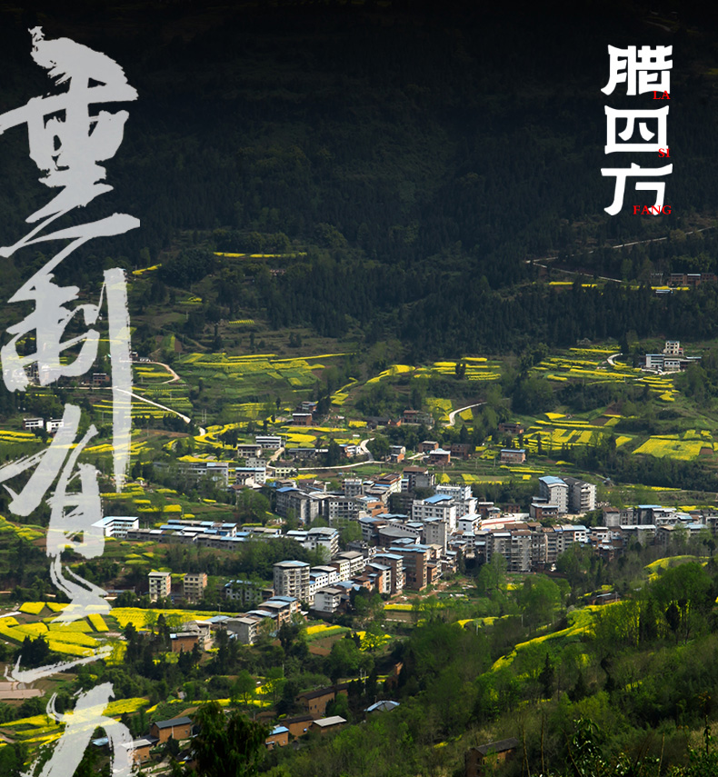 后腿肉_01