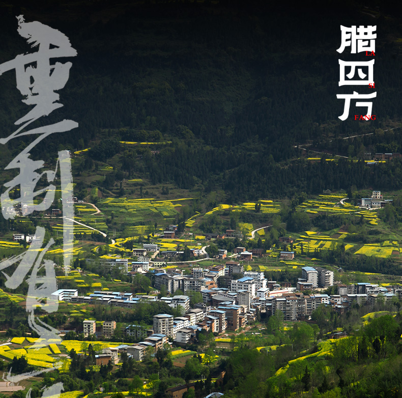 香肠详情页_01