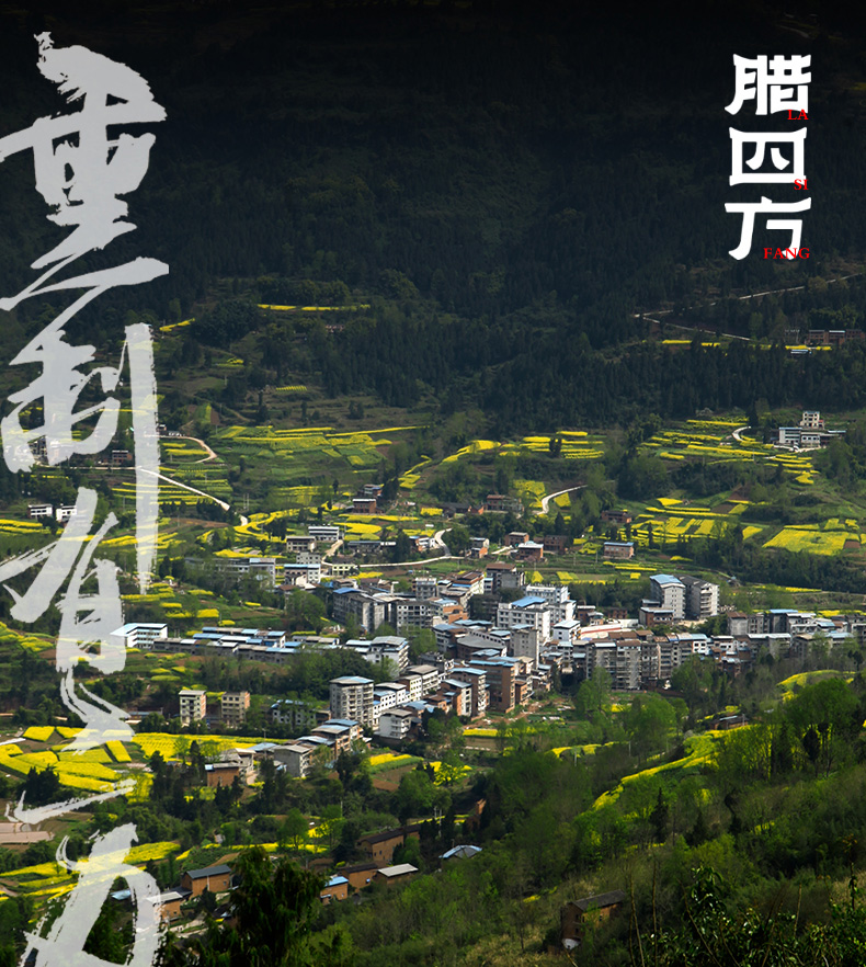 排骨_01