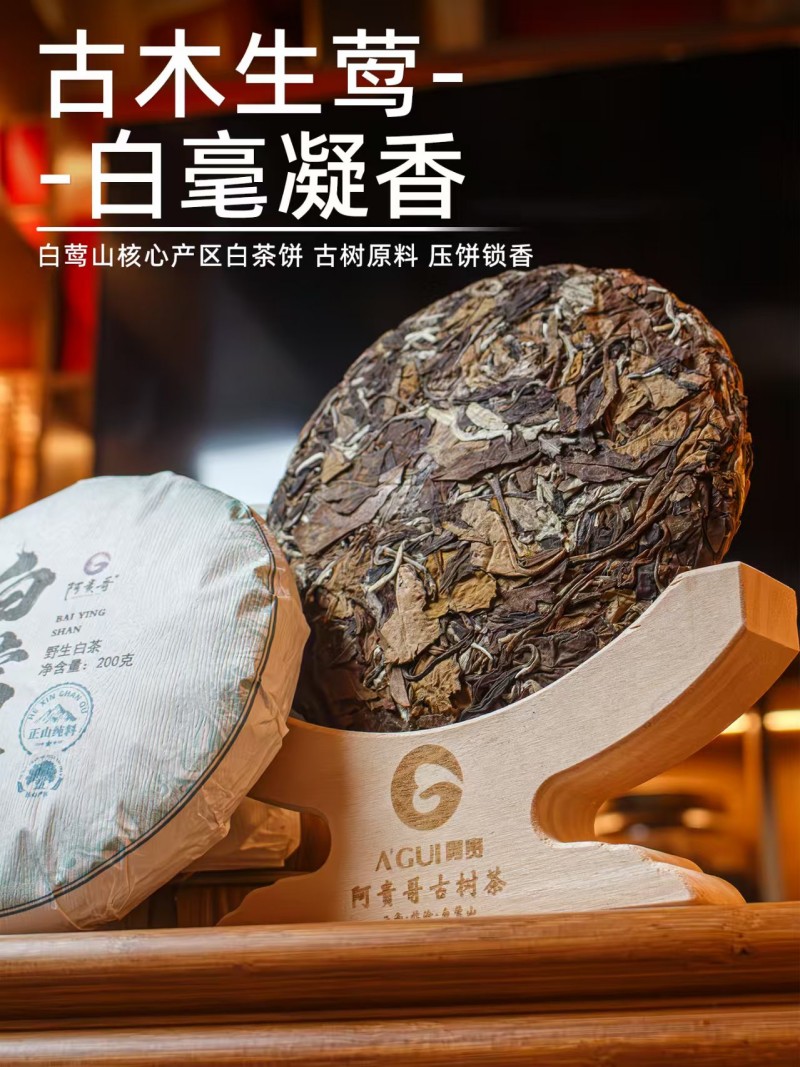 白茶