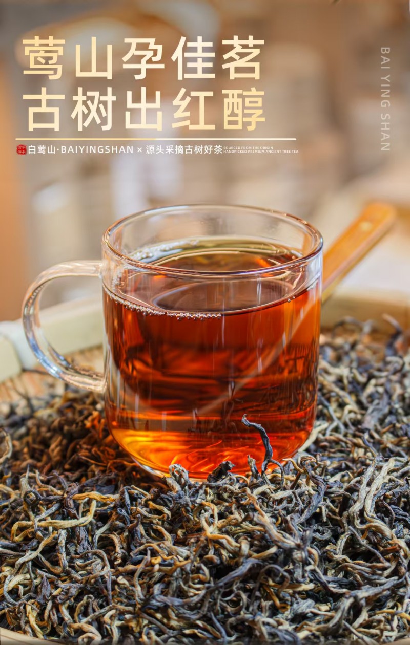 古树红茶