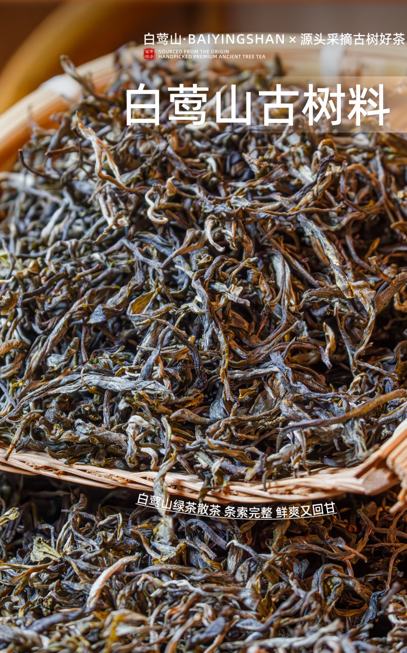 古树绿茶
