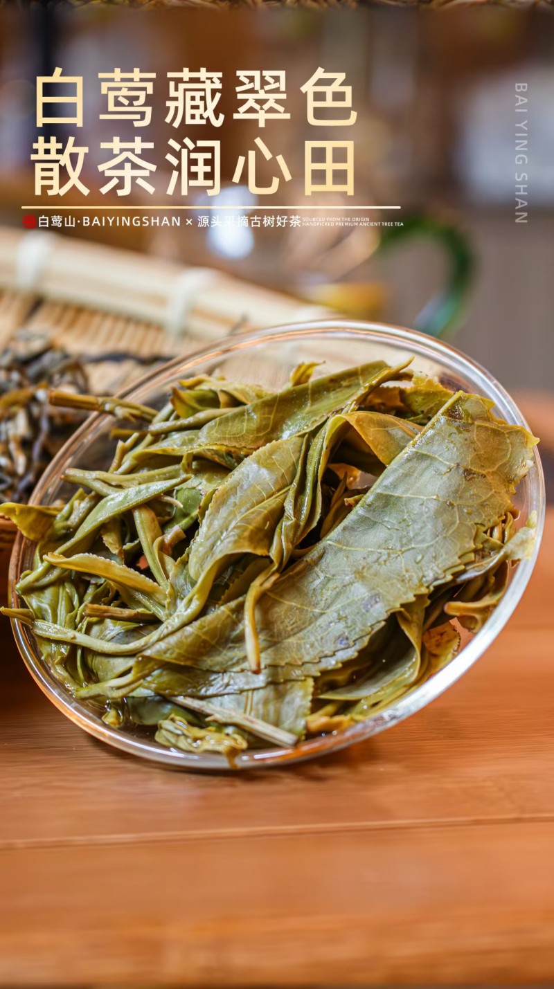 古树绿茶