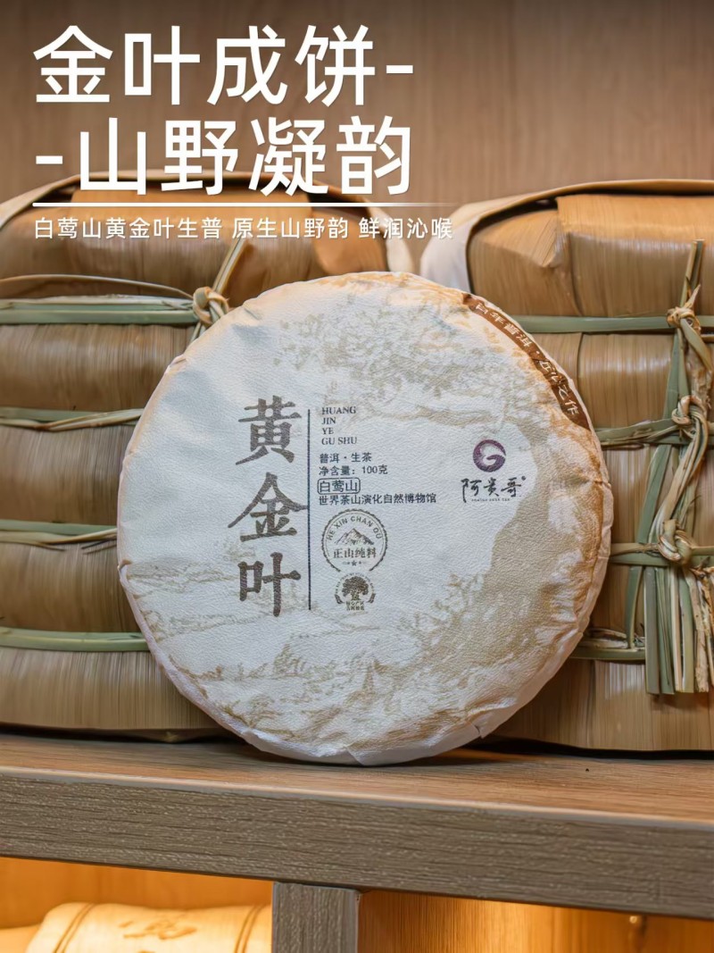 黄金叶