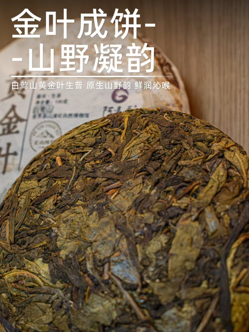 黄金叶