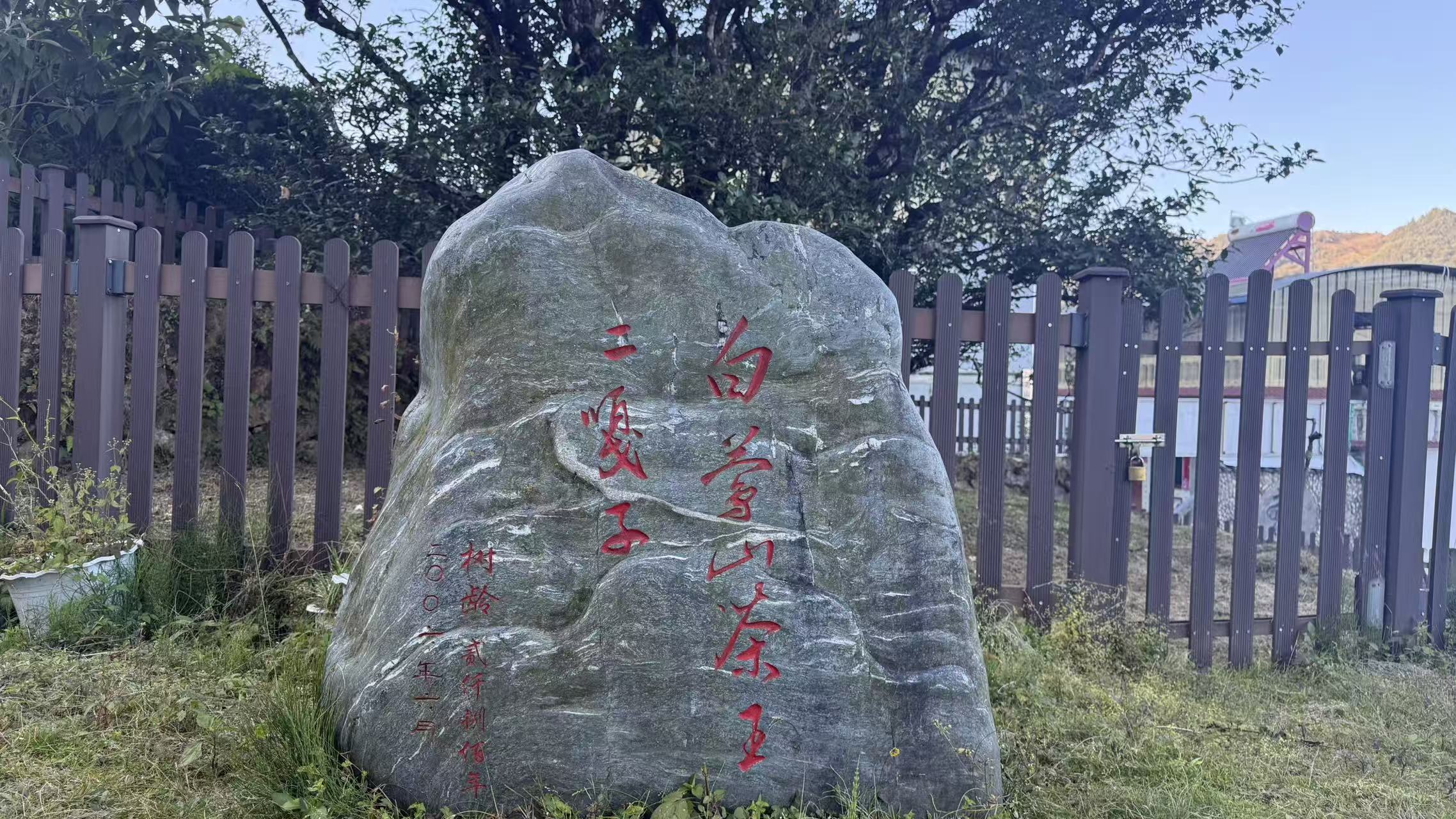 公司介绍