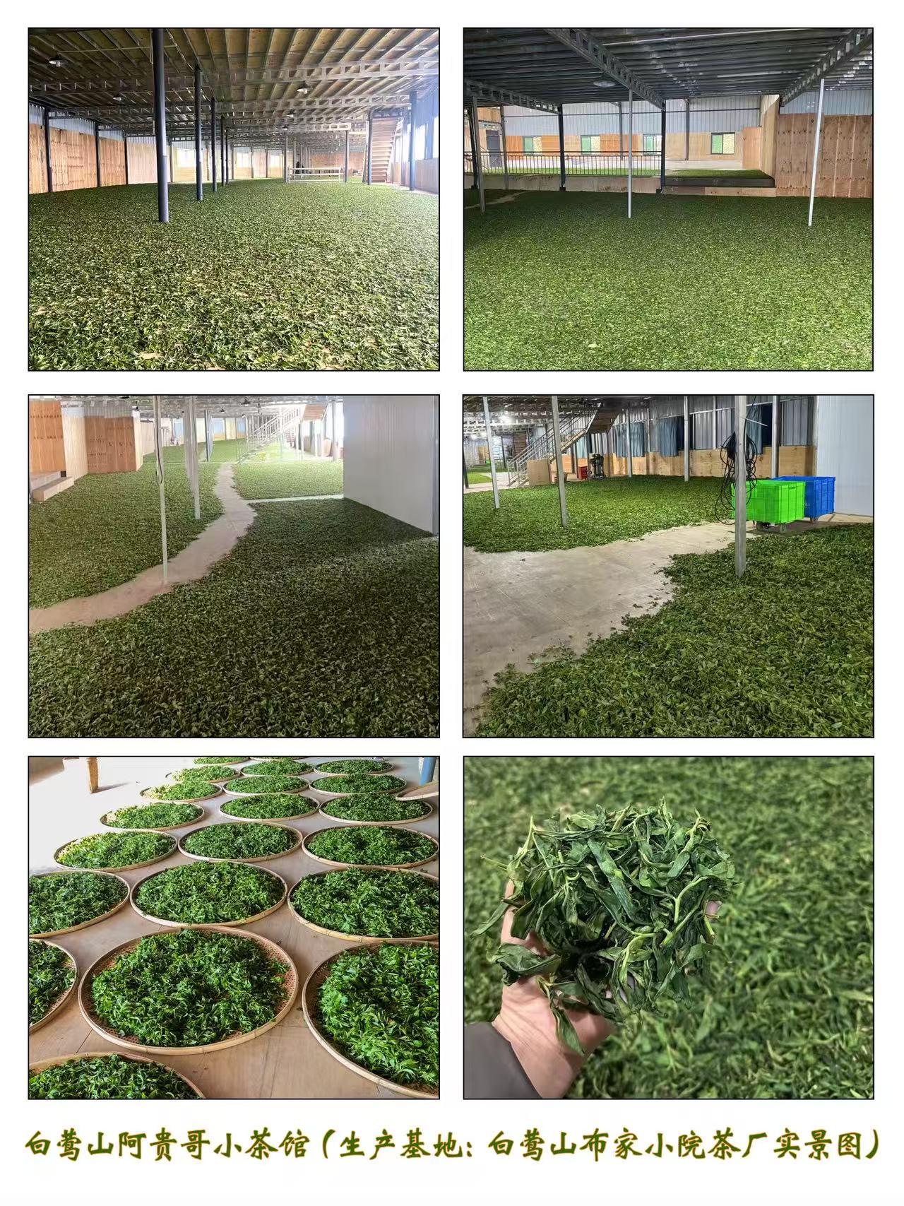 白莺山阿贵哥小茶馆(生产基地白莺山布家小院茶厂实景图)