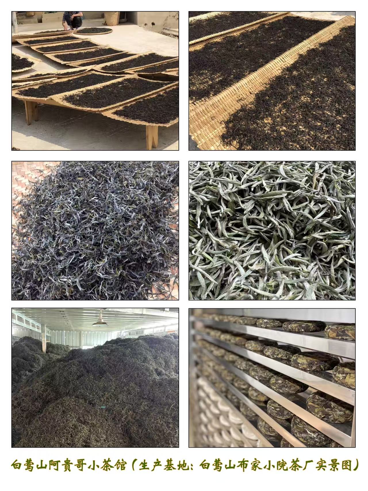 白莺山阿贵哥小茶馆(生产基地白莺山布家小院茶厂实景图)