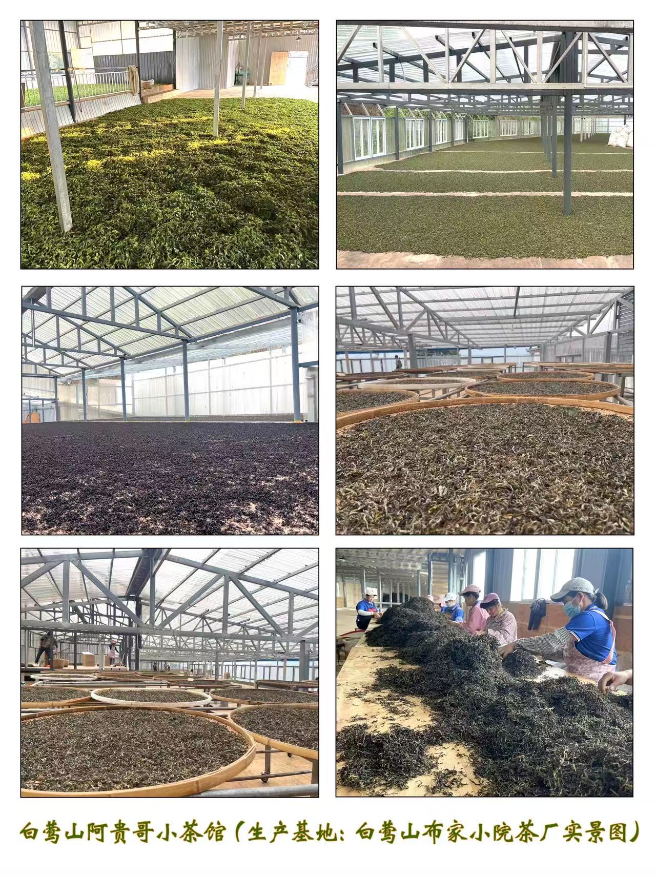 白莺山阿贵哥小茶馆(生产基地白莺山布家小院茶厂实景图)
