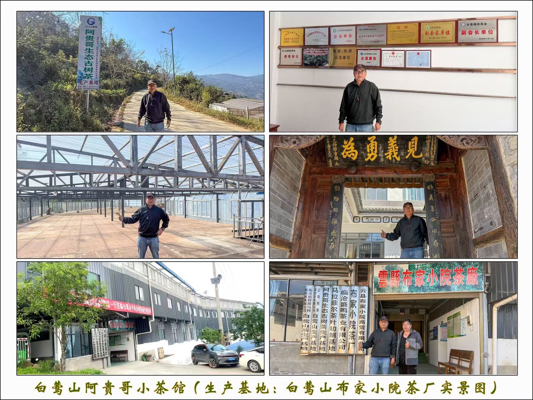 白莺山阿贵哥小茶馆(生产基地白莺山布家小院茶厂实景图)