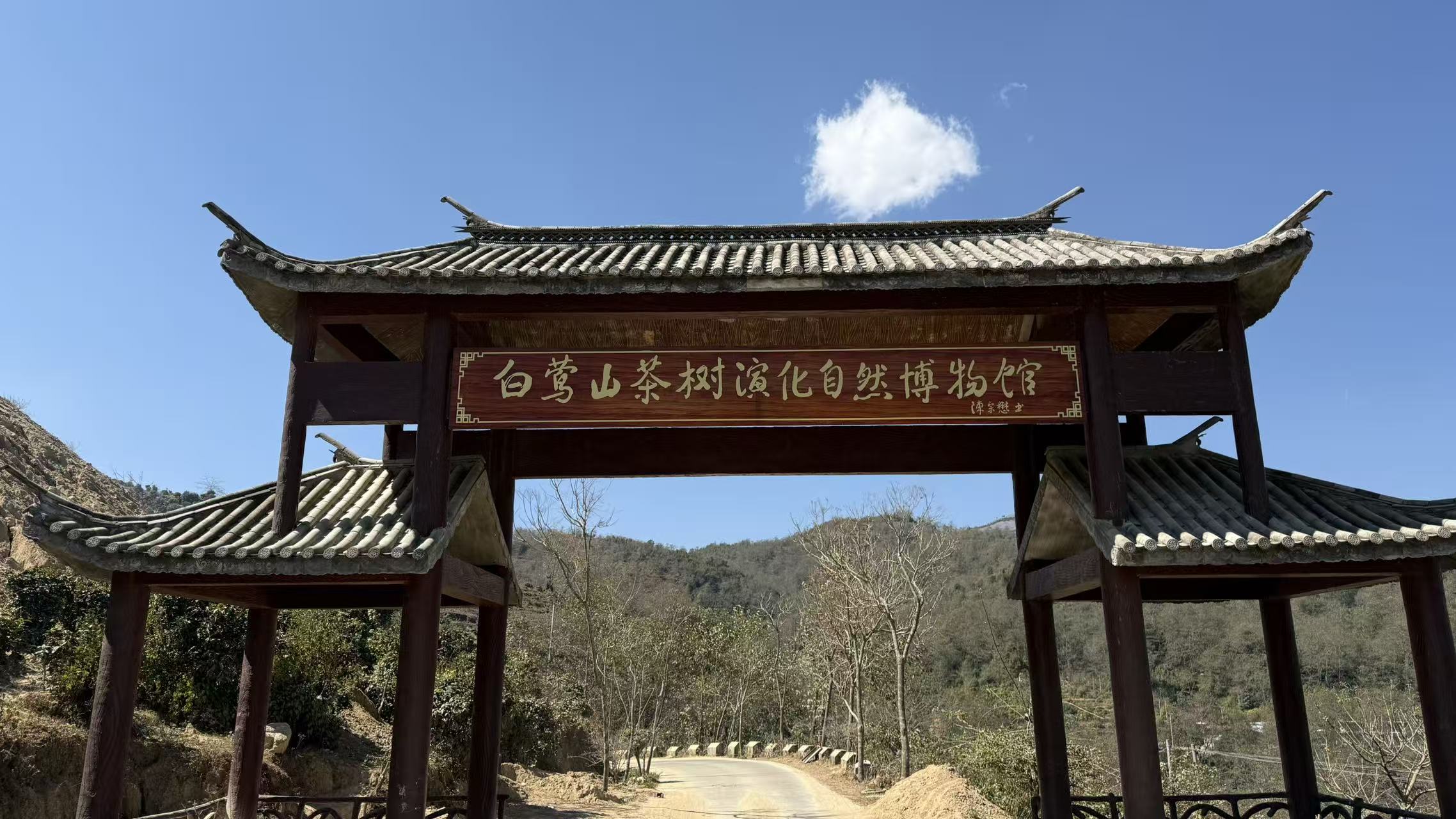 昆明阿贵商贸：深耕古树茶，让白莺山茶香走向大众