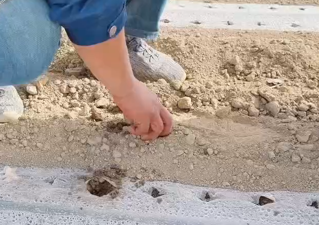 合作案例