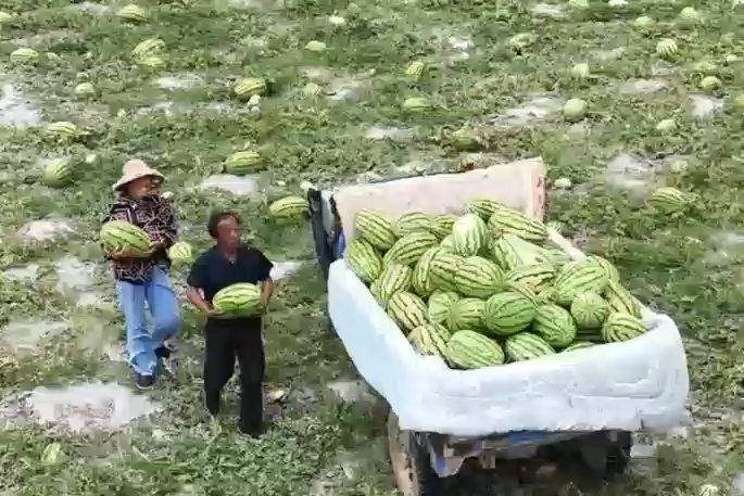 实用案例视频