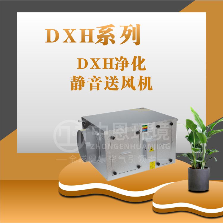 DXH净化静音送风机