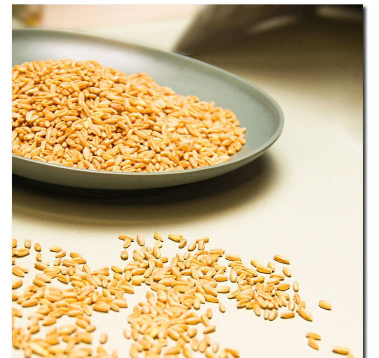 新疆农家小麦仁 800g (7)